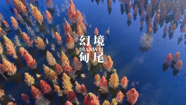 探索知识星球平台-义乌社区工作者工资待遇多少,解锁无限学习可能